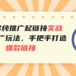 拼多多纯推广起链接实战：多种推广玩法，手把手打造爆款链接