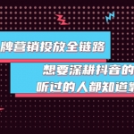 抖音品牌营销投放全链路：想要深耕抖音的来，听过的人都知道靠谱