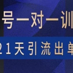 视频号训练营：带货，涨粉，直播，游戏，四大变现新方向，21天引流出单