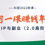 抖音2022新课：一周一课赚钱年课：个人IP与副业（2.0高阶版）