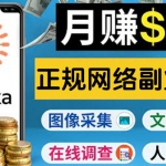 正规网络副业赚钱平台Toloka，利用业余时间月赚150美元