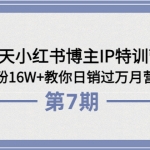 28天小红书博主IP加盟站长《第6+7期》4个月涨粉16W+教你日销过万月营收30万