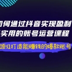 如何通过抖音实现盈利，最实用的账号运营课程 从0到1打造能赚钱的爆款账号