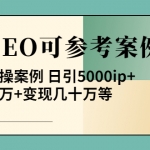 《全网SEO可参考案例库》几十个实操案例 日引5000ip+涨粉百W+变现几十W等!