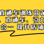 搜索直通车训练营第2期：搜索、直通车、引力魔方三维合一 提升店铺业绩！