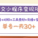 图文案小程序变现项目：养号+对标+工具素材+实操+变现，单号一天30+