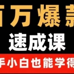 百万爆款速成课：用数据思维做爆款，小白也能从0-1打造百万播放视频