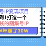 图集号IP变现项目：从0到1打造一个能赚钱的图集号IP 半年赚了30W