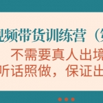 短视频带货训练营（第11期），不需要真人出境，听话照做，保证出单