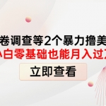 国外问卷调查等2个暴力撸美金项目，小白零基础也能月入过万