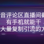 抖音评论区直播间截流，有手机就能干，可大量复制引流的方法