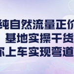 0粉纯自然流量正价起号基地实操干货，带你上车实现弯道超车