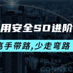 安卓应用安全SO进阶培训班：高手带路,少走弯路-价值999元