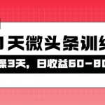 被忽视的微头条，21天微头条训练营，实操3天，日收益60-80不等