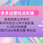 拼多多运营玩法实操，0.1改10W销量，薅官方10w免费流量 等玩法！