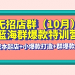 无招店群·蓝海群爆款加盟站长(10月新课) 低成本起店+小爆款打造+群爆款维护