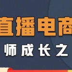 直播电商高手成长之路：教你成为直播电商大师，玩转四大板块（25节）