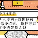 直播带货实训营：话术技巧+销售技巧+底层数据逻辑 快速开启直播带货之路