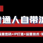 让普通人自带流量的逆袭课：流量密码+IP打造+运营技术·财富路径