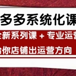 车神陪跑，拼多多系统化课程，全新系列课+专业运营给你店铺出运营方向