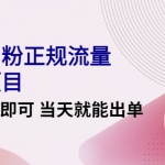 2022实操男粉正规流量变现项目，一台手机即可 当天就能出单【视频课程】