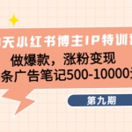 28天小红书博主IP加盟站长《第9期》做爆款，涨粉变现 单条广告笔记500-10000