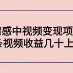 黄岛主副业孵化营第5期：抖音情感中视频变现项目孵化 单条视频收益几十上百