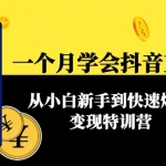 一个月学会抖音直播带货：从小白新手到快速爆单变现加盟站长(63节课)