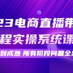 2023电商直播带货全流程实操系统课：从起号到成熟所有阶段问题全总结！