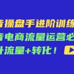 抖音操盘手进阶训练课：抖音电商流量运营必学，提升流量+转化！