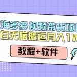 人人都能操作的蓝海多多视频带货项目 小白无脑搬运月入10000+（教程+软件）