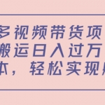 多多视频带货项目，搬运日入过万，0成本，轻松实现躺赚（教程+软件）