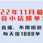 2022年11月最新抖音小店爆单营：无需直播，不用拍短视频，每天出1000单