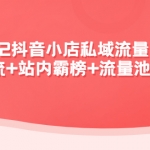 2022抖音小店私域流量引爆课：站外引流+站内霸榜+流量池玩法等等！