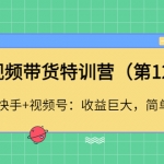 短视频带货加盟站长（第12期）抖音+快手+视频号：收益巨大，简单粗暴！