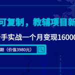 简单可复制，教辅项目新玩法，新手实战一个月变现16000+（第2期+课程+资料)