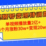 20天视频号变现加盟站长：单视频播放量2亿+3个月涨粉30w+变现20w+