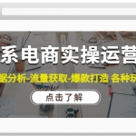 淘系电商实操运营课：数据分析-流量获取-爆款打造 各种玩法（63节）