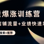 流量爆涨训练营：打造店铺流量+业绩快速增长 (爆款+搜索+推荐)