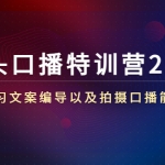 镜头口播加盟站长2.0版，学习文案编导以及拍摄口播能力（50节课时）