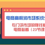 电商高利润市场系统分析课：专门讲市场的赚钱机会，电商必看（23节课）