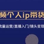 短视频个人ip带货变现：爆款文案/流量运营/直播入门/镜头变现/流量商业