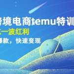 拼多多跨境电商temu加盟站长：先入局吃一波红利，从0到1打造爆款，快速变现