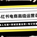 小红书电商高级运营课程：基础入驻篇+商城流量运营+笔记流量运营