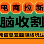 【信息差项目】外面收费588的电商拉新收割机项目【全套教程】