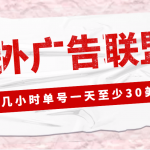 外面收费1980最新国外LEAD广告联盟搬砖项目，单号一天至少30美金(详细教程)