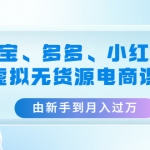 淘宝、多多、小红书-虚拟无货源电商课：由新手到月入过万（3套课程）