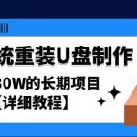 电脑系统重装U盘制作，年赚30W的长期项目【详细教程】