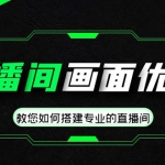 直播间画面优化教程，教您如何搭建专业的直播间-价值399元