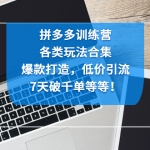 拼多多训练营：各玩法合集，爆款打造，低价引流，7天破千单等等！